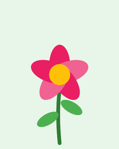 Flower blooming animation